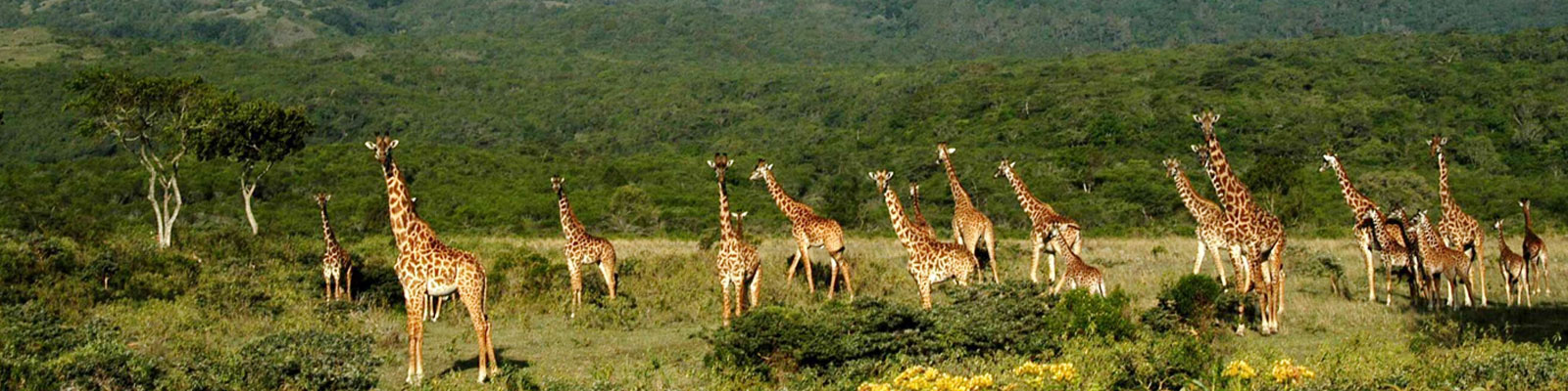  Arusha National Park